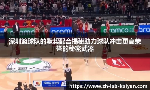 深圳篮球队的默契配合揭秘助力球队冲击更高荣誉的秘密武器